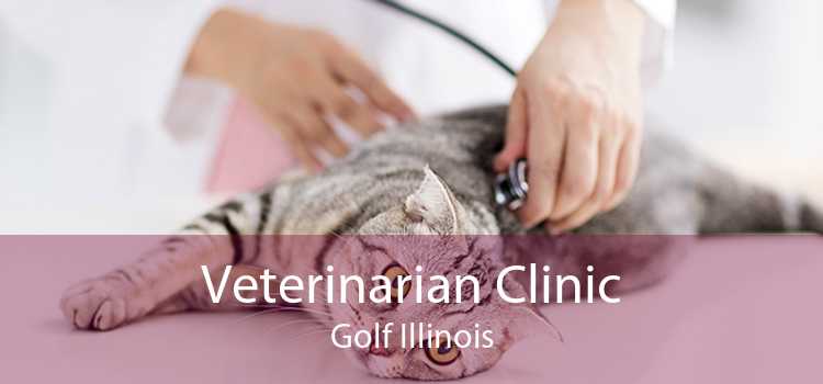 Veterinarian Clinic Golf Illinois