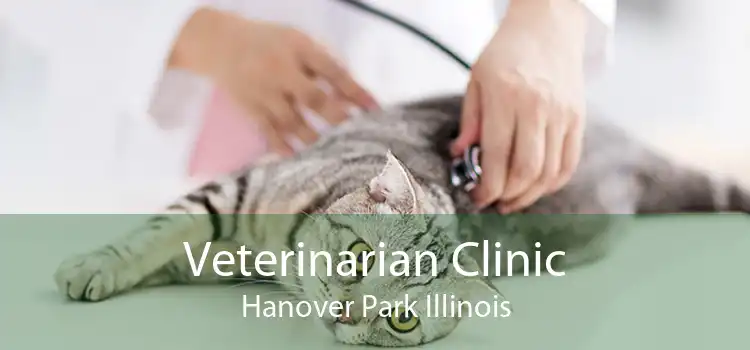 Veterinarian Clinic Hanover Park Illinois