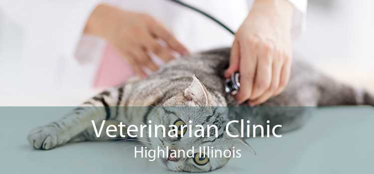 Veterinarian Clinic Highland Illinois