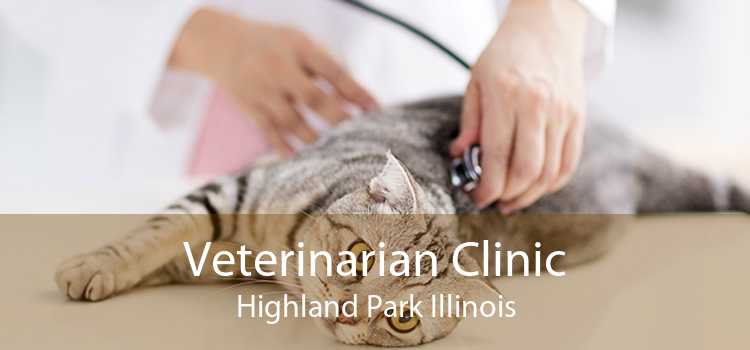 Veterinarian Clinic Highland Park Illinois