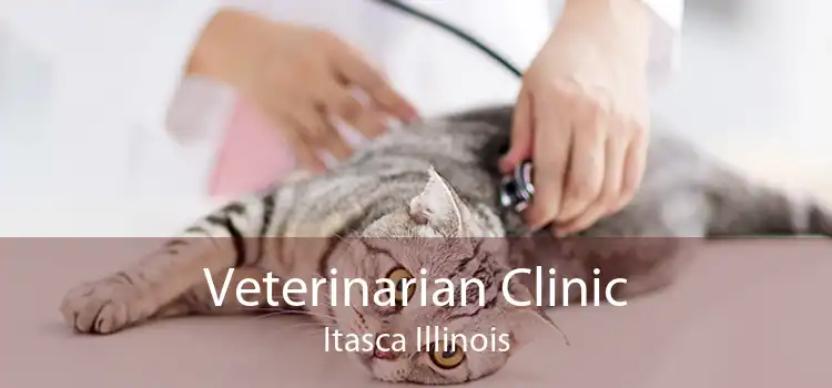 Veterinarian Clinic Itasca Illinois