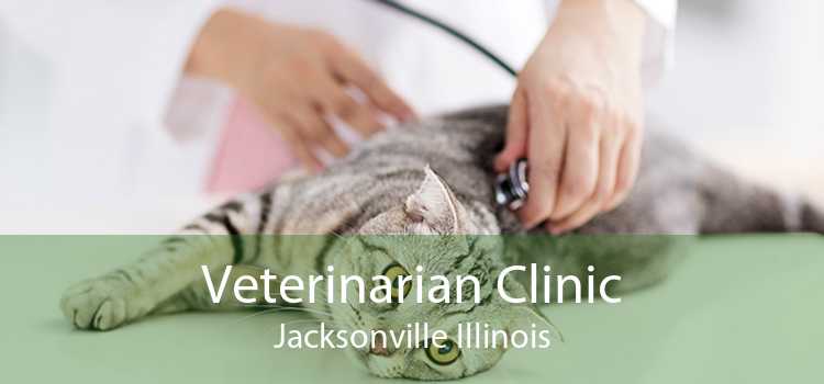 Veterinarian Clinic Jacksonville Illinois
