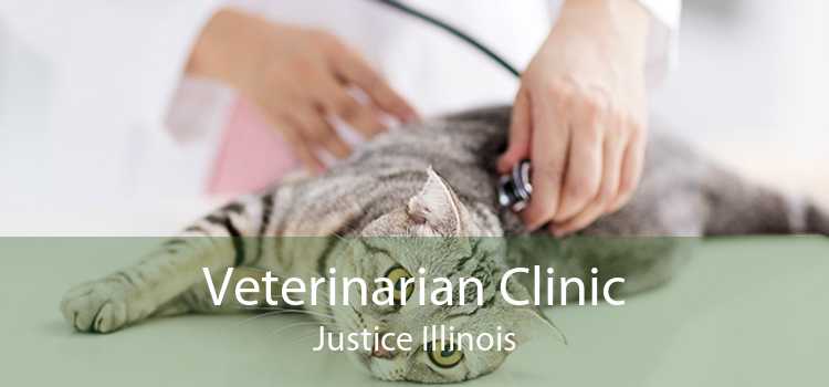Veterinarian Clinic Justice Illinois