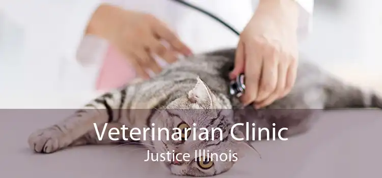 Veterinarian Clinic Justice Illinois