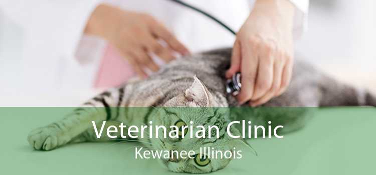 Veterinarian Clinic Kewanee Illinois