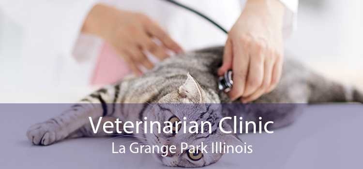 Veterinarian Clinic La Grange Park Illinois