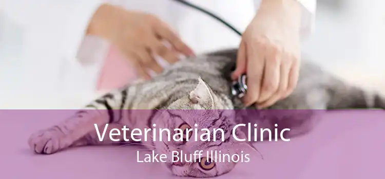Veterinarian Clinic Lake Bluff Illinois