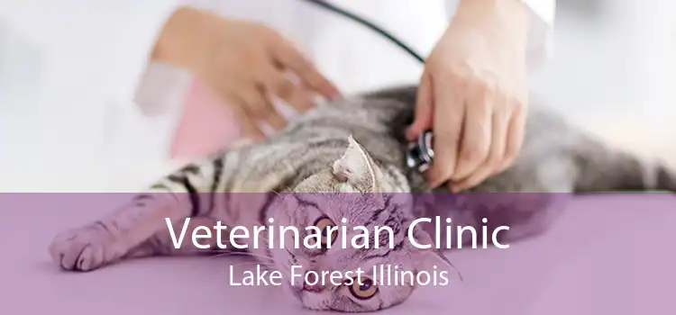 Veterinarian Clinic Lake Forest Illinois