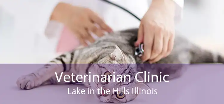 Veterinarian Clinic Lake in the Hills Illinois