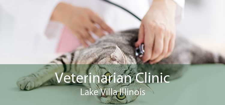 Veterinarian Clinic Lake Villa Illinois