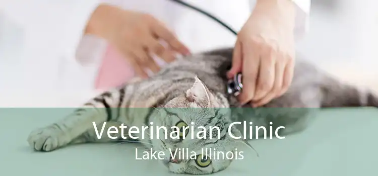 Veterinarian Clinic Lake Villa Illinois