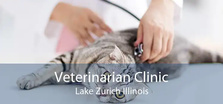 Veterinarian Clinic Lake Zurich Illinois