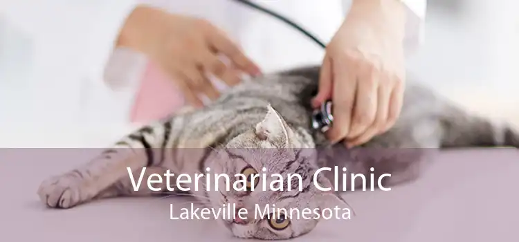 Veterinarian Clinic Lakeville Minnesota