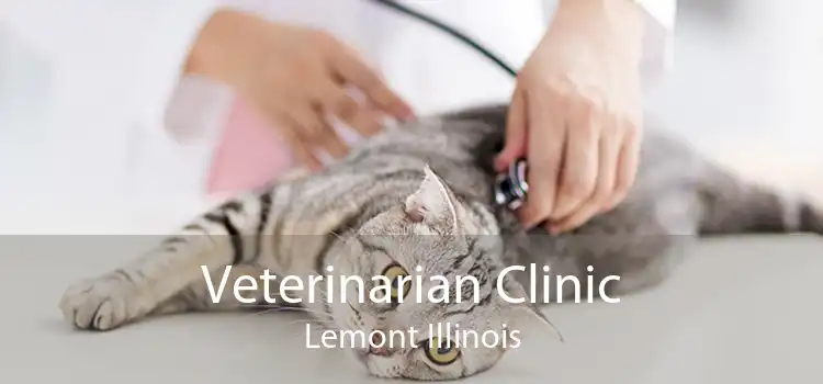 Veterinarian Clinic Lemont Illinois