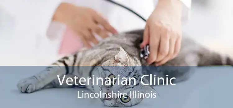 Veterinarian Clinic Lincolnshire Illinois