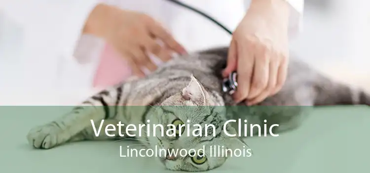 Veterinarian Clinic Lincolnwood Illinois