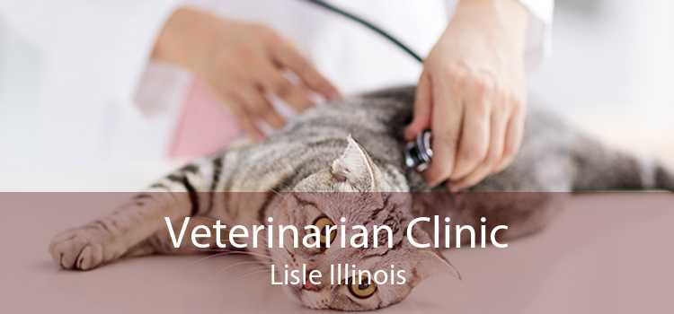 Veterinarian Clinic Lisle Illinois