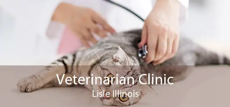 Veterinarian Clinic Lisle Illinois