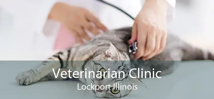 Veterinarian Clinic Lockport Illinois