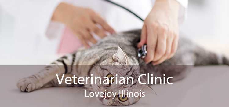 Veterinarian Clinic Lovejoy Illinois