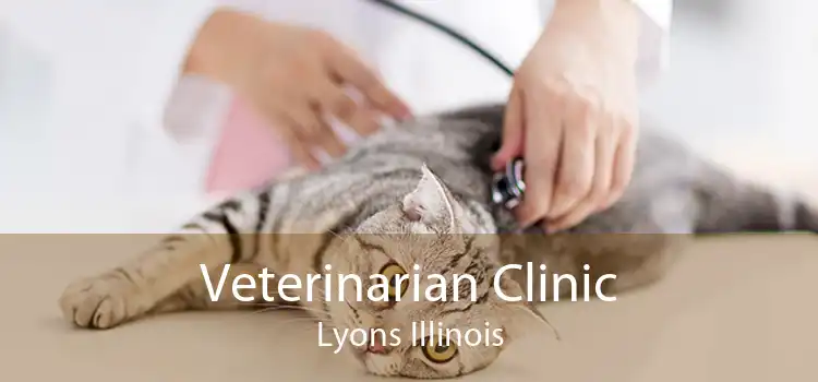 Veterinarian Clinic Lyons Illinois