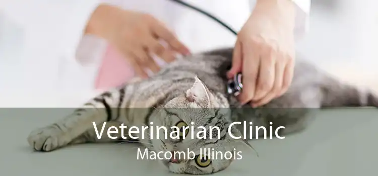 Veterinarian Clinic Macomb Illinois