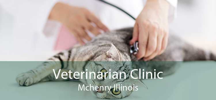 Veterinarian Clinic Mchenry Illinois