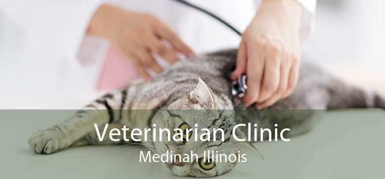Veterinarian Clinic Medinah Illinois