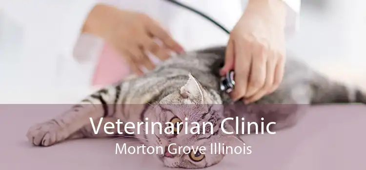 Veterinarian Clinic Morton Grove Illinois