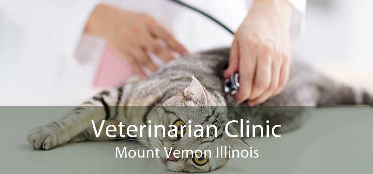 Veterinarian Clinic Mount Vernon Illinois