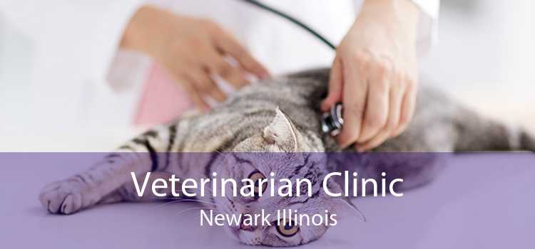 Veterinarian Clinic Newark Illinois