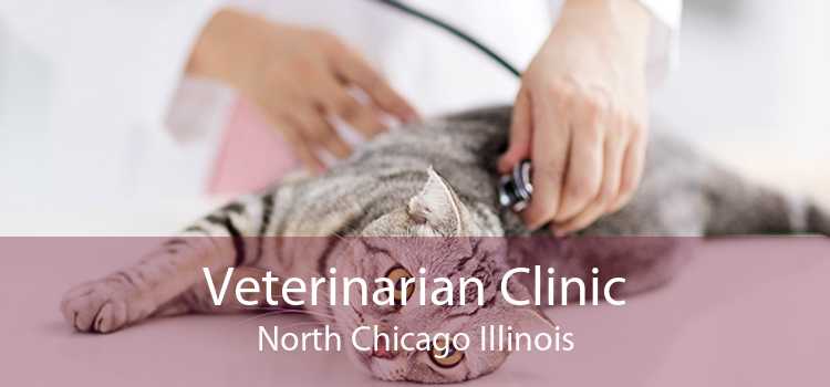 Veterinarian Clinic North Chicago Illinois