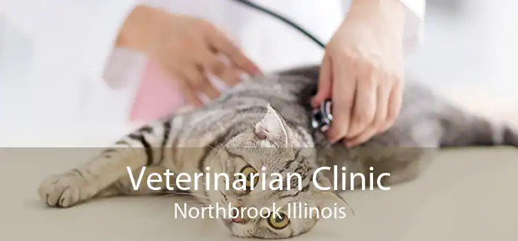 Veterinarian Clinic Northbrook Illinois