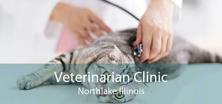 Veterinarian Clinic Northlake Illinois