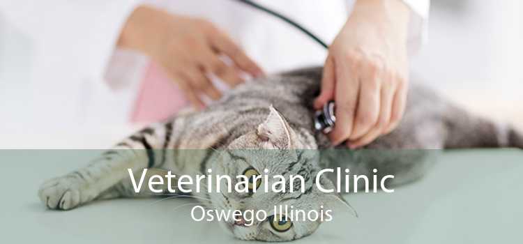 Veterinarian Clinic Oswego Illinois