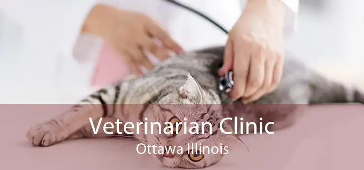 Veterinarian Clinic Ottawa Illinois