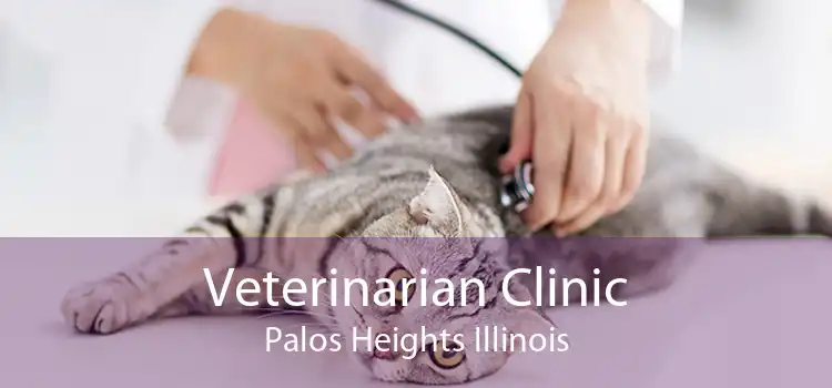 Veterinarian Clinic Palos Heights Illinois