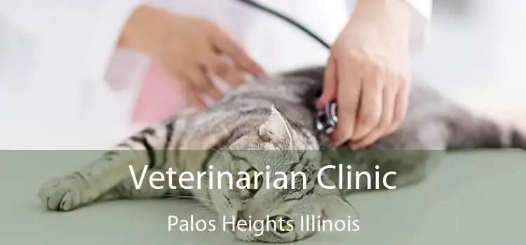 Veterinarian Clinic Palos Heights Illinois