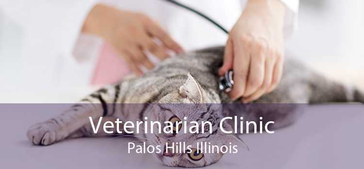 Veterinarian Clinic Palos Hills Illinois