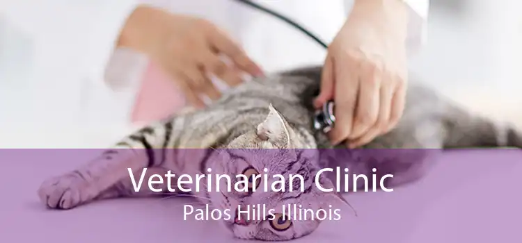 Veterinarian Clinic Palos Hills Illinois
