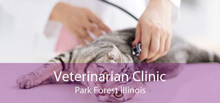 Veterinarian Clinic Park Forest Illinois