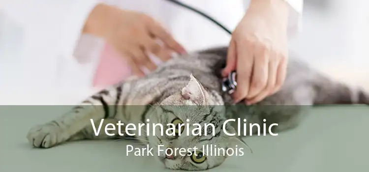 Veterinarian Clinic Park Forest Illinois
