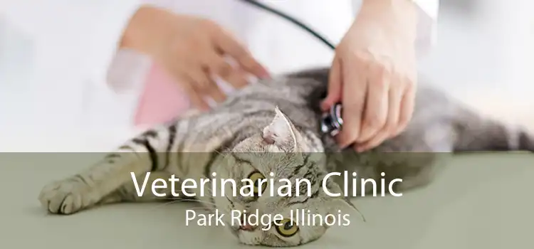 Veterinarian Clinic Park Ridge Illinois