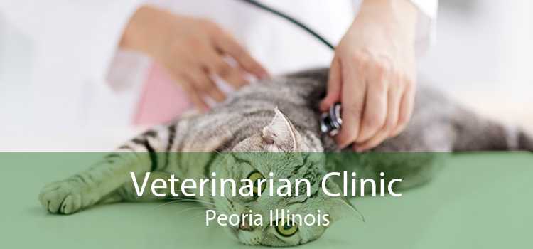 Veterinarian Clinic Peoria Illinois