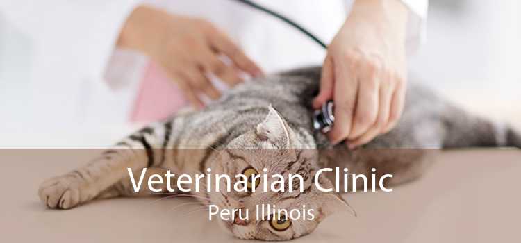 Veterinarian Clinic Peru Illinois