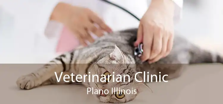 Veterinarian Clinic Plano Illinois