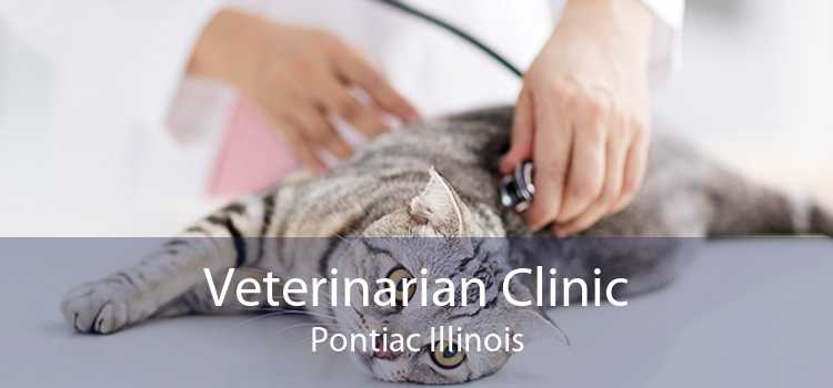 Veterinarian Clinic Pontiac Illinois