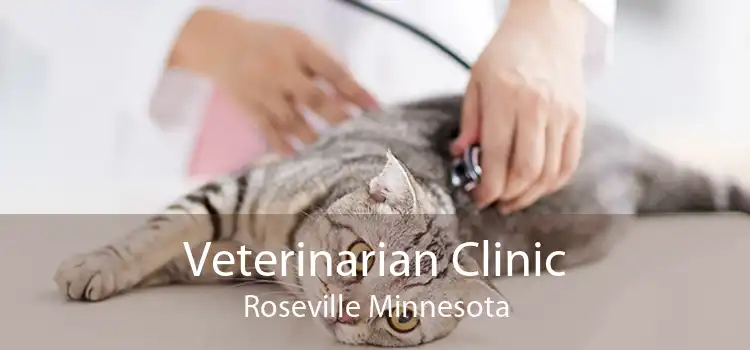Veterinarian Clinic Roseville Minnesota