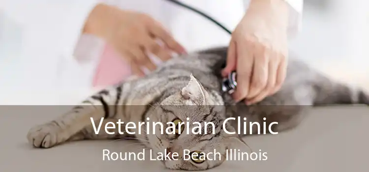 Veterinarian Clinic Round Lake Beach Illinois