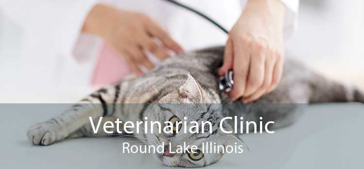 Veterinarian Clinic Round Lake Illinois